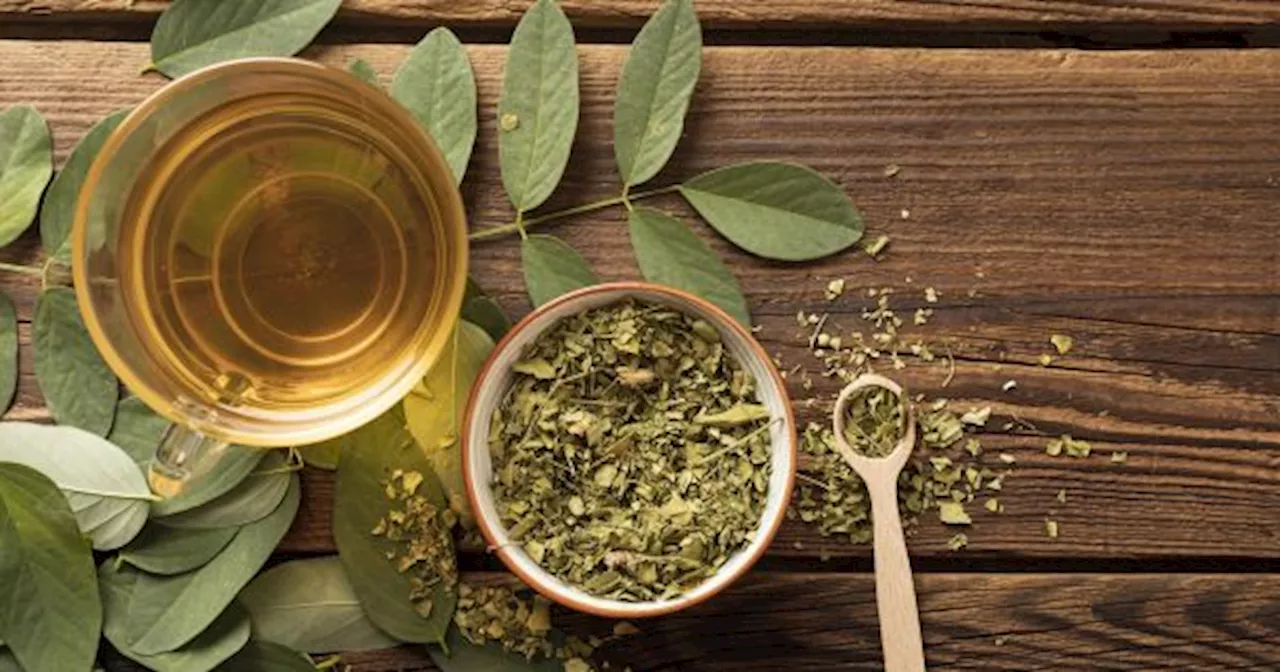 El TÉ VERDE y su poder ANTIOXIDANTE NATURAL que retrasa el envejecimiento