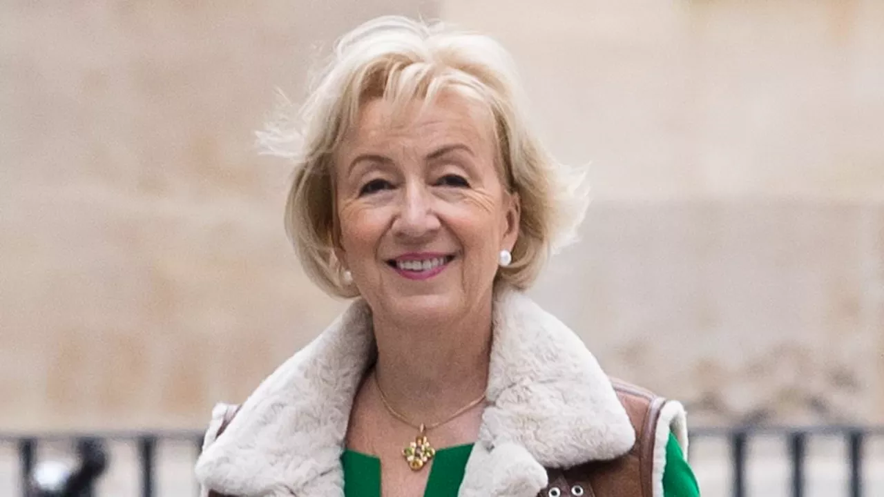 Andrea Leadsom is latest to join Tory exodus: Former leadership contender to stand down at the...