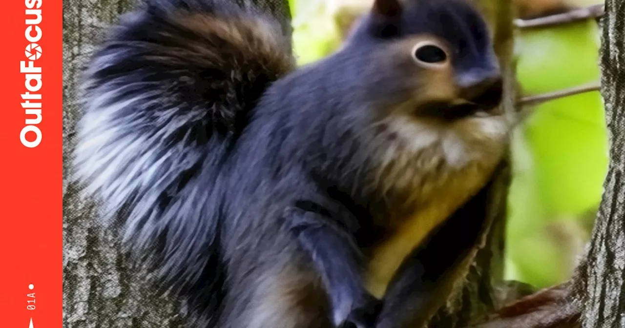 My Google Pixel phone turned my photos into AI nightmares