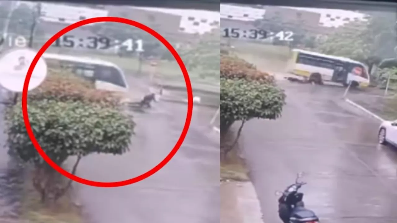 En video quedó registrado fatal accidente: motociclista murió arrollada por un bus en Montería