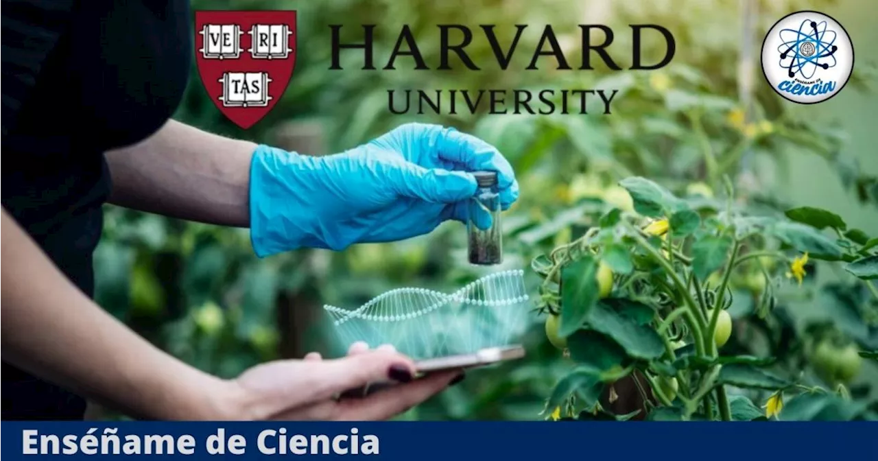 Aprende a editar genéticamente una planta con este CURSO de Harvard 100% GRATUITO