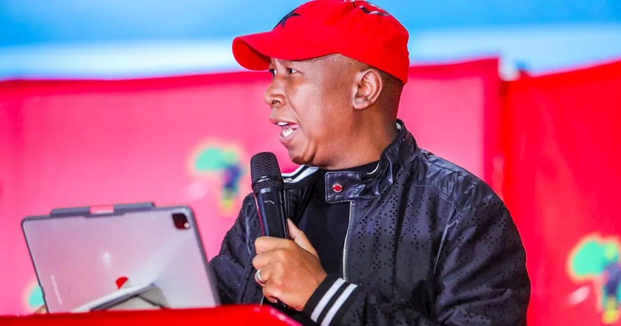 Malema says EFF will ‘accept the will of the people’ regardless of elections outcome