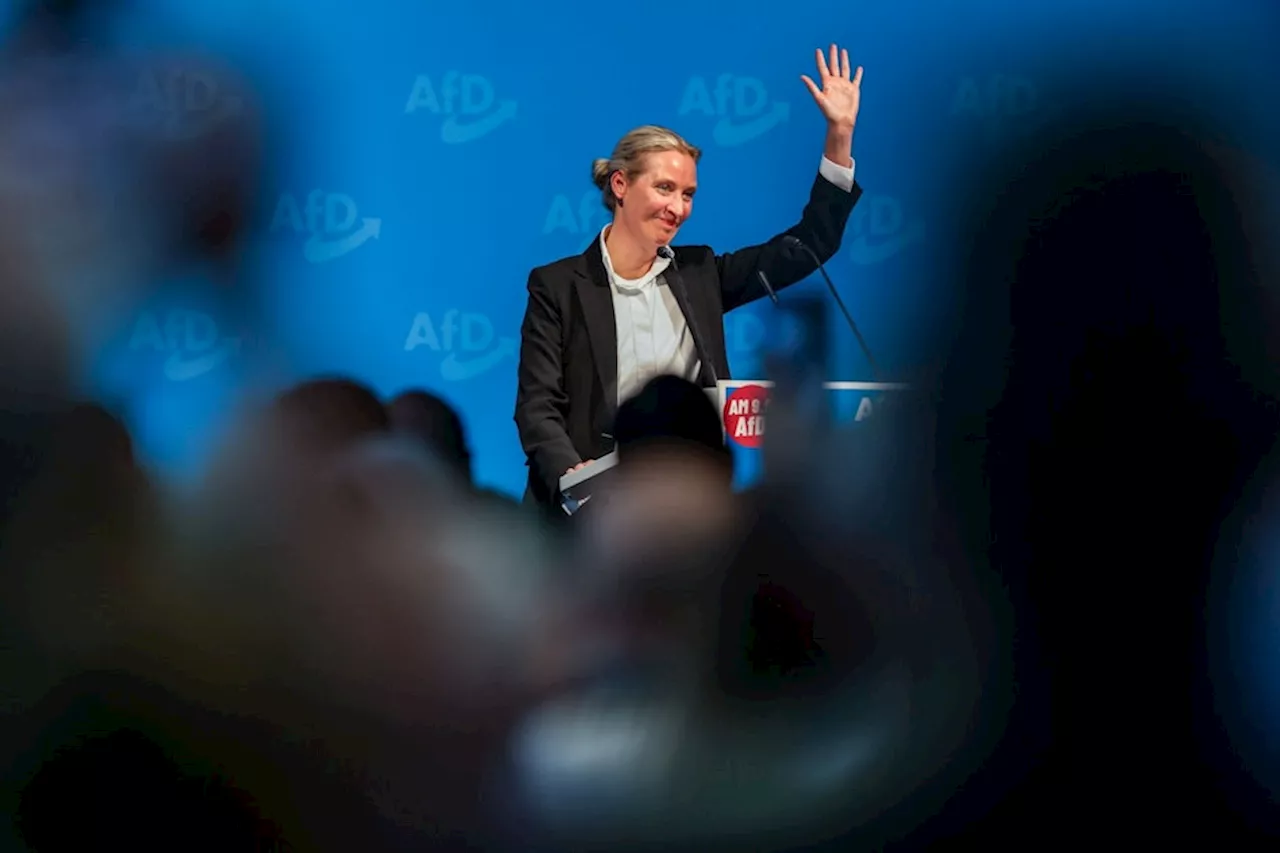 Weidel und Chrupalla wollen AfD gestärkt aus Krise führen