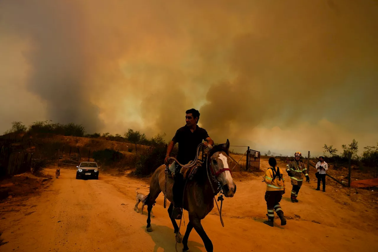 Chile firefighter, forest official linked to wildfires that killed 130