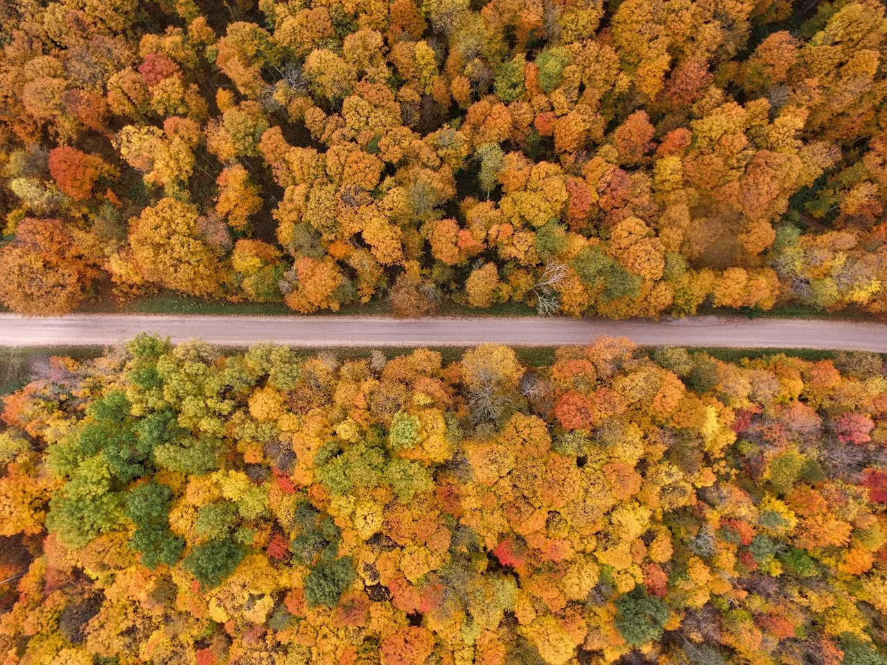 Workload Isolation in Apache Doris: Optimizing Resource Management and Performance