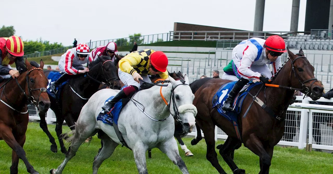 Freaky Friday in Irish racing as horses win successive races at odds of 100/1