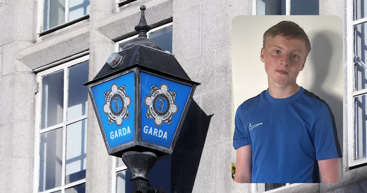 Gardai appeal for help tracing missing Laois teen