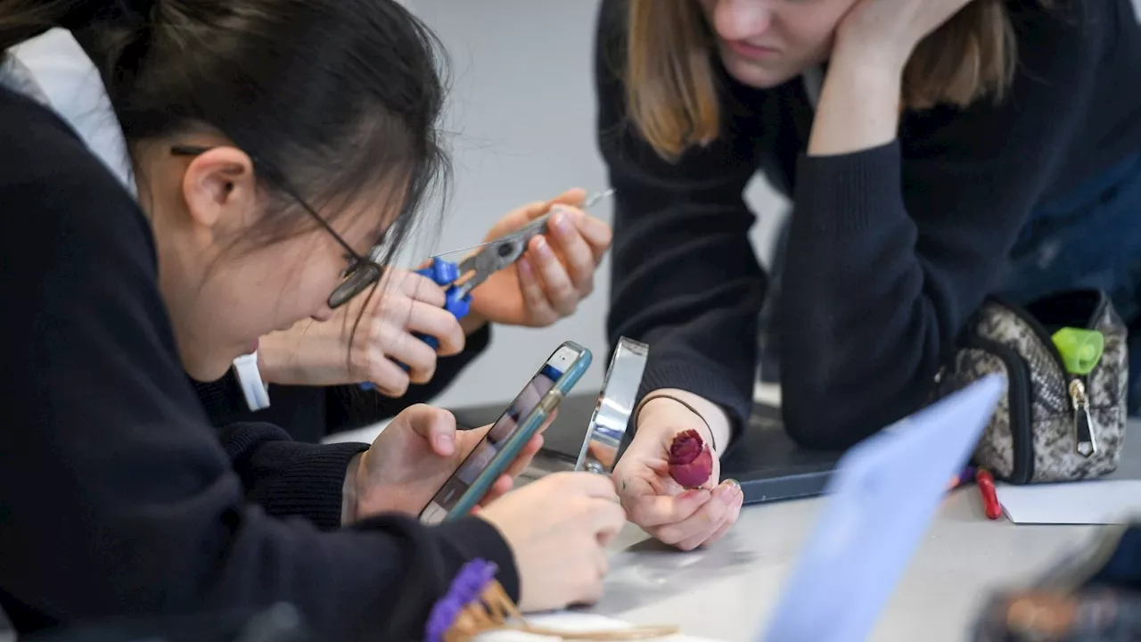 Total ban on under-16s owning smartphones should be considered by next government, MPs suggest