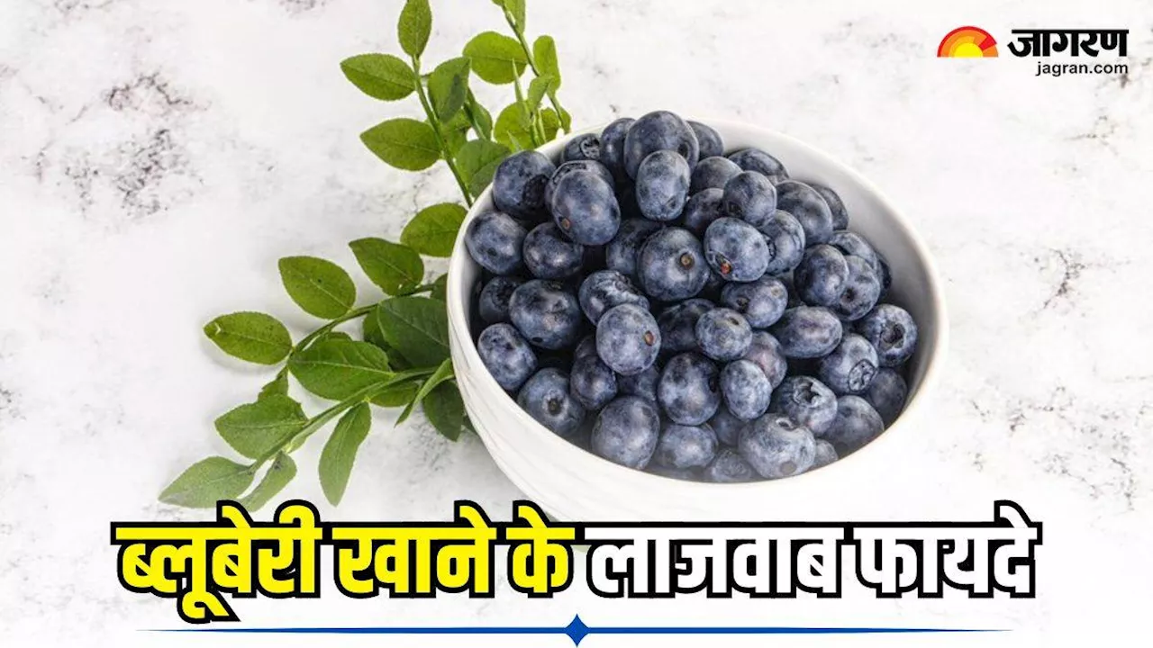 Benefits of Blueberries: वेट लॉस से लेकर हेल्दी हार्ट तक, ब्लूबेरी खाने से सेहत को मिलते हैं ये 5 शानदार फायदे