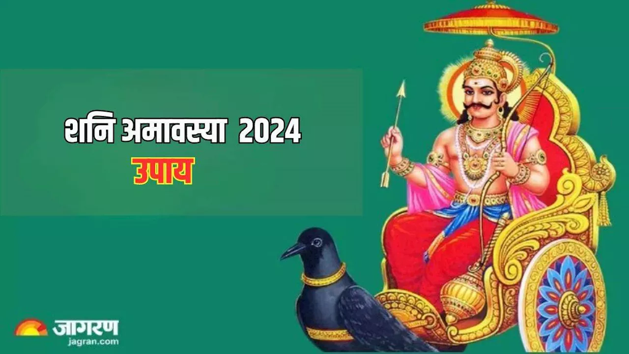 Shani Amavasya 2024: शनि अमावस्या पर करें ये चमत्कारी उपाय, पितृ दोष से मिलेगा छुटकारा