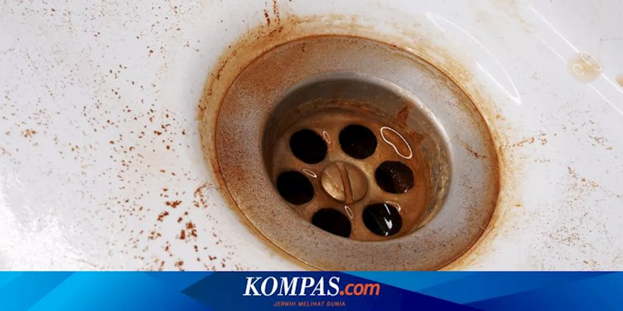 Ternyata, Alat Ini Bisa Bikin Bau Selokan di Rumah Hilang Seketika