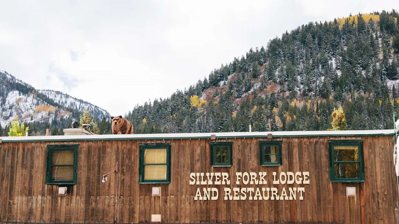 Town of Brighton makes first step in potential purchase of 'icon' Silver Fork Lodge