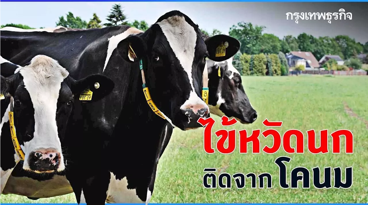 ไข้หวัดนกในสหรัฐฯ คาดติดจากโคนม ทำให้เป็นตาอักเสบ