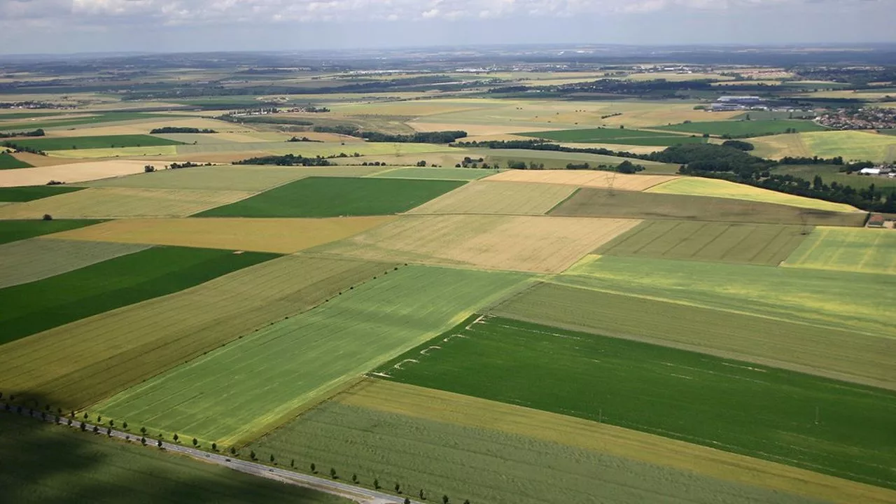 Le Val-de-Marne veut protéger les terres agricoles et les forêts de seize communes