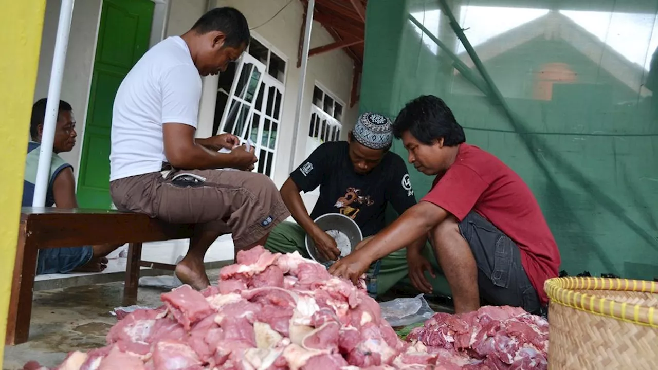 Jangan Sampai Salah, Ini Orang-Orang yang Berhak Menerima Daging Qurban