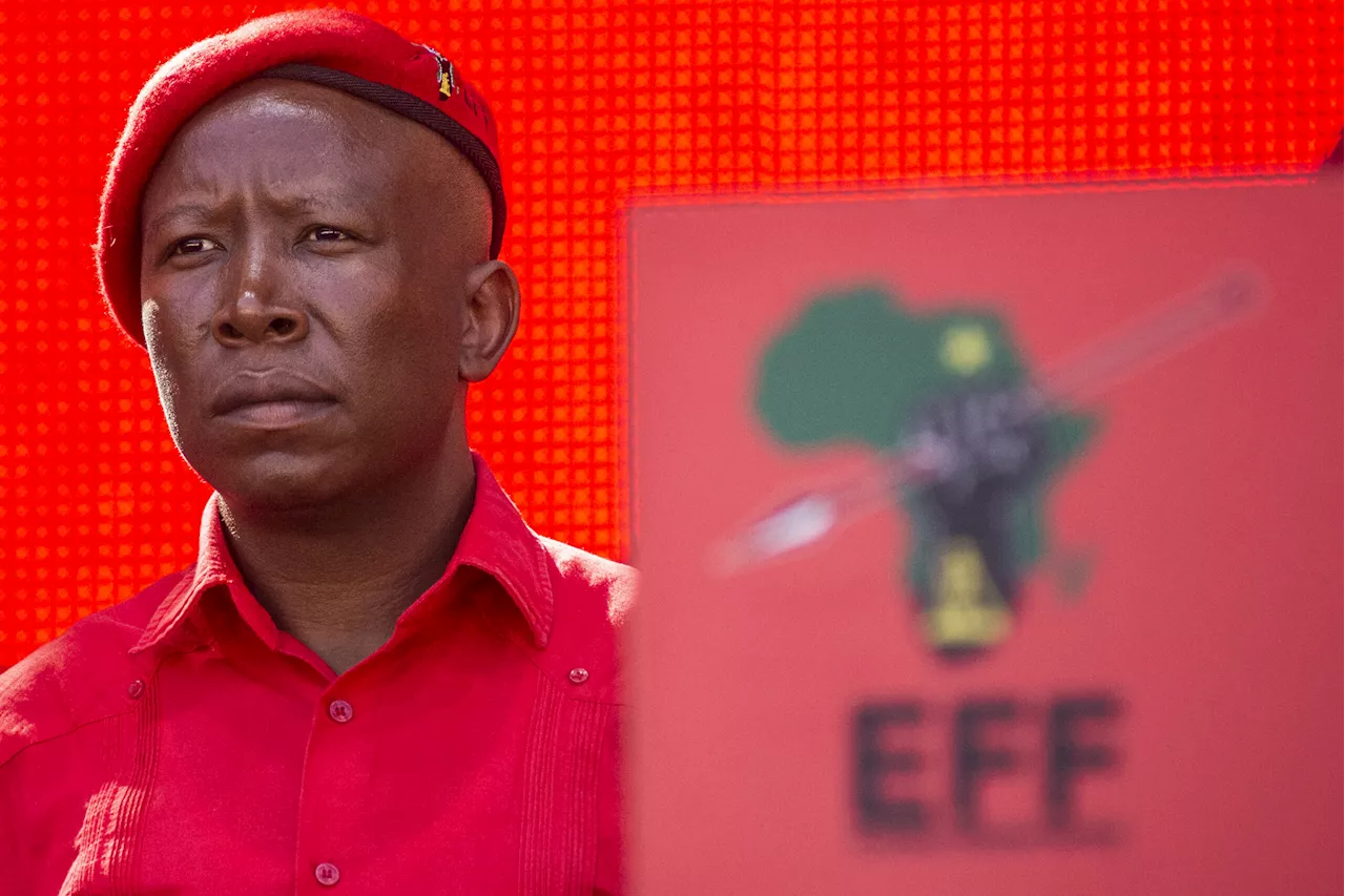 Malema: EFF not concerned about possible MK party threats to elections