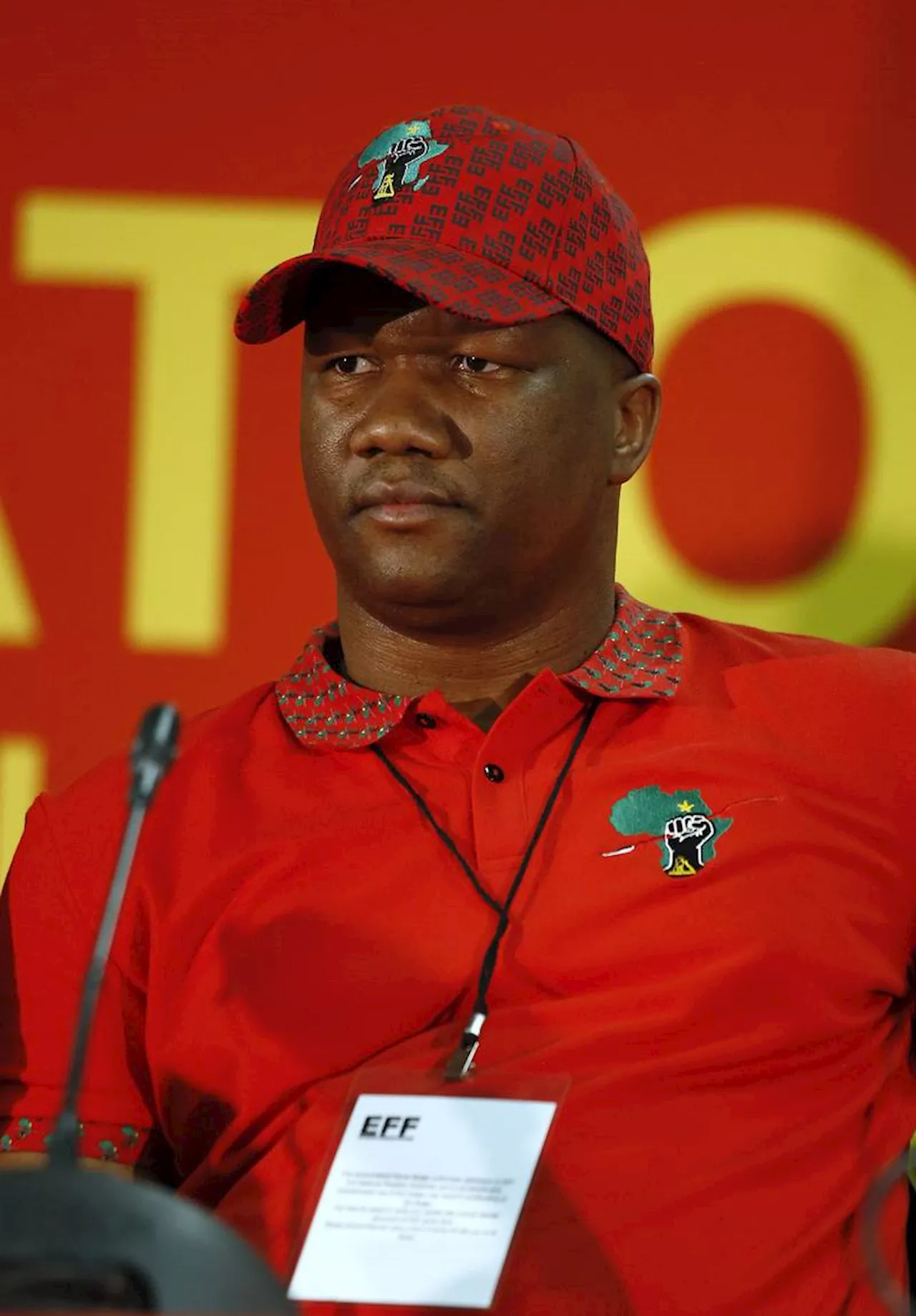 Malema wants party secretary general Marshall Dlamini as KZN premier