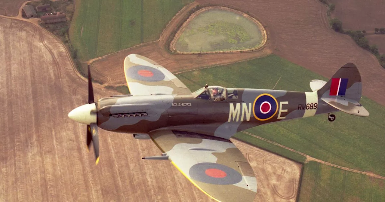 RAF pilot dies in horror Spitfire crash at Battle of Britain event