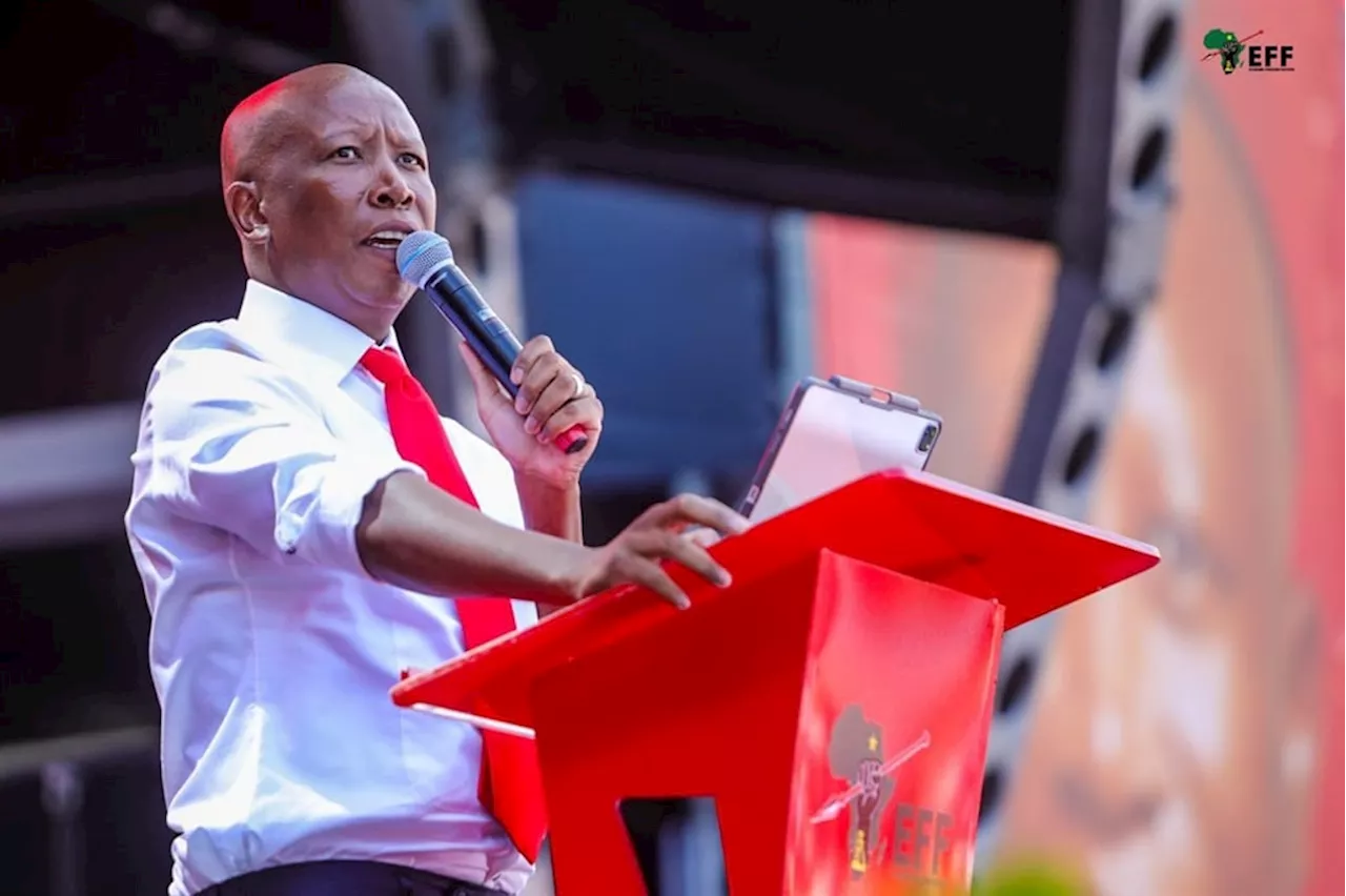 'Collapse the government of criminals': Malema calls on young people to vote