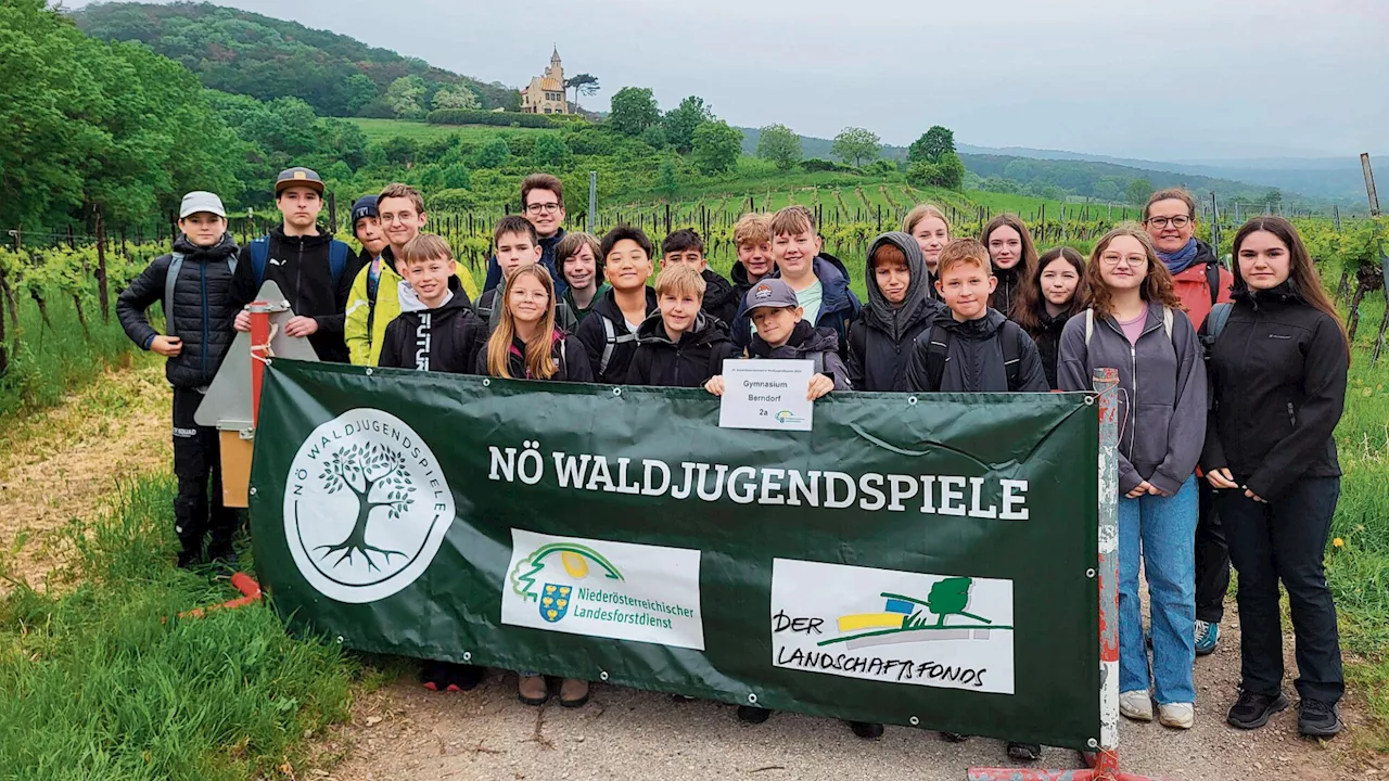 Bad Vöslau: Waldjugendspiele sind entschieden