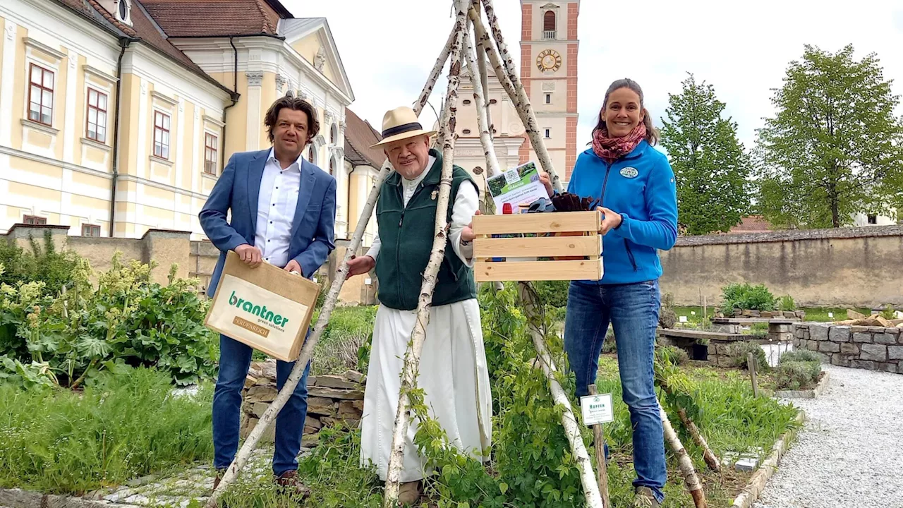 Schaukasten im Stift Geras feiert 20-Jahr-Jubiläum