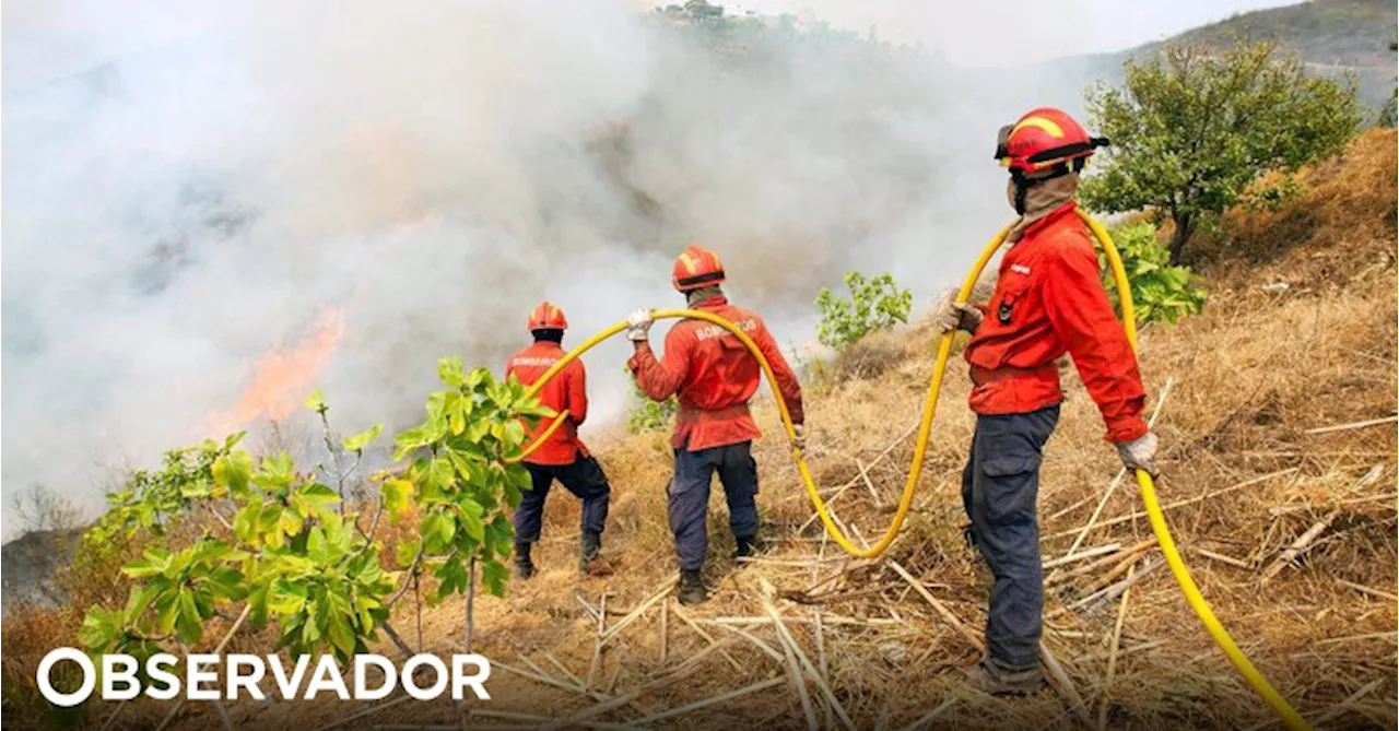 Dois concelhos de Faro em perigo máximo de incêndio