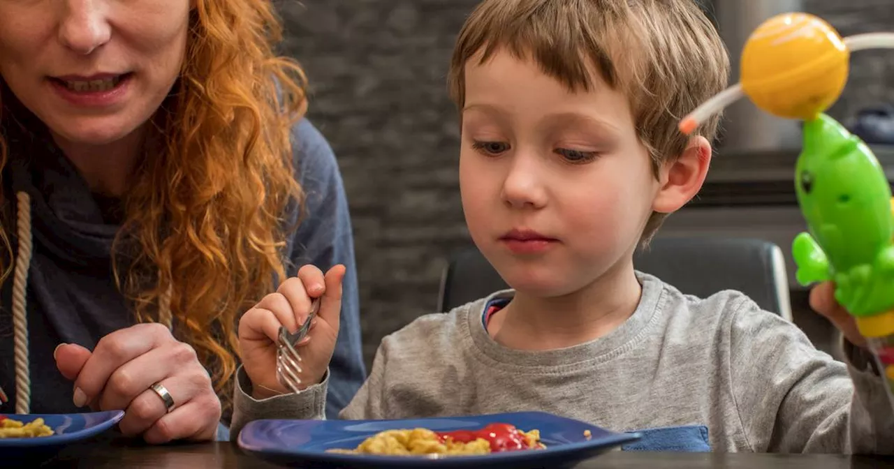 Knigge für die Kleinsten: Tipps für gute Tischmanieren bei Kindern