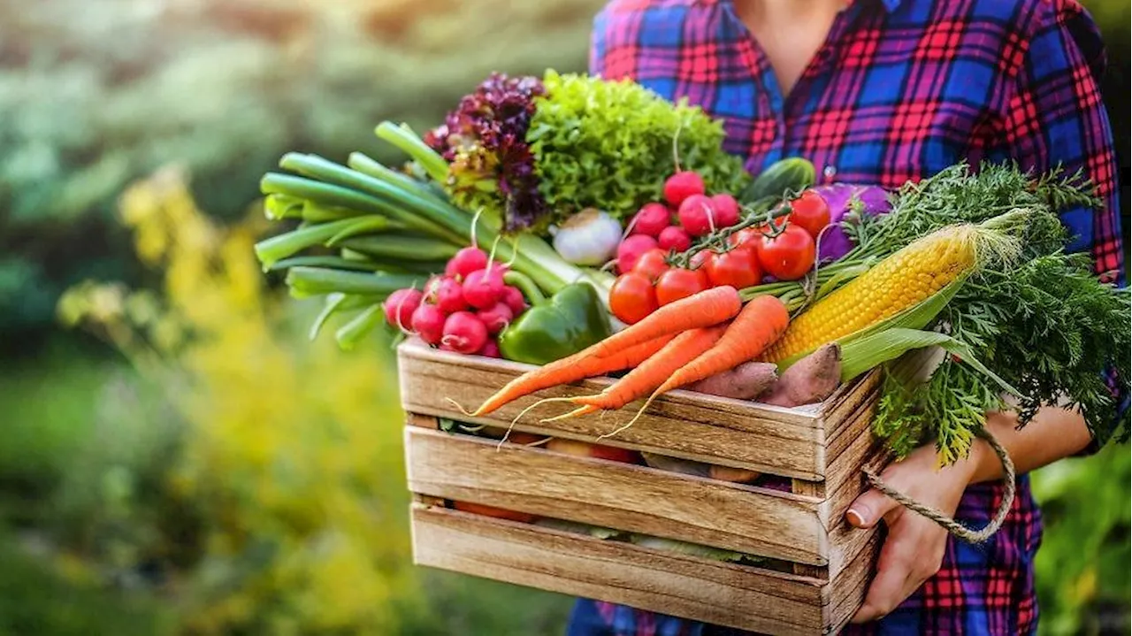 Gemüse-Müll adé: Drei köstliche Rezepte für den Frühling und Sommer