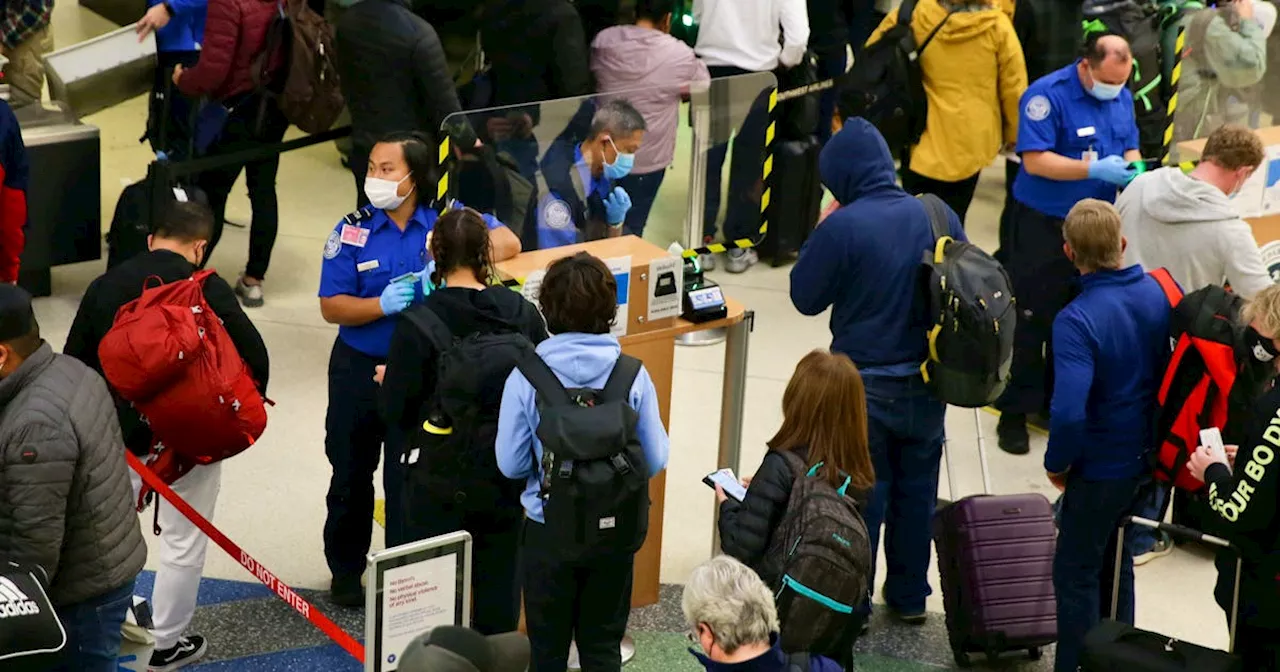 US screens highest number of air passengers ever in a single day