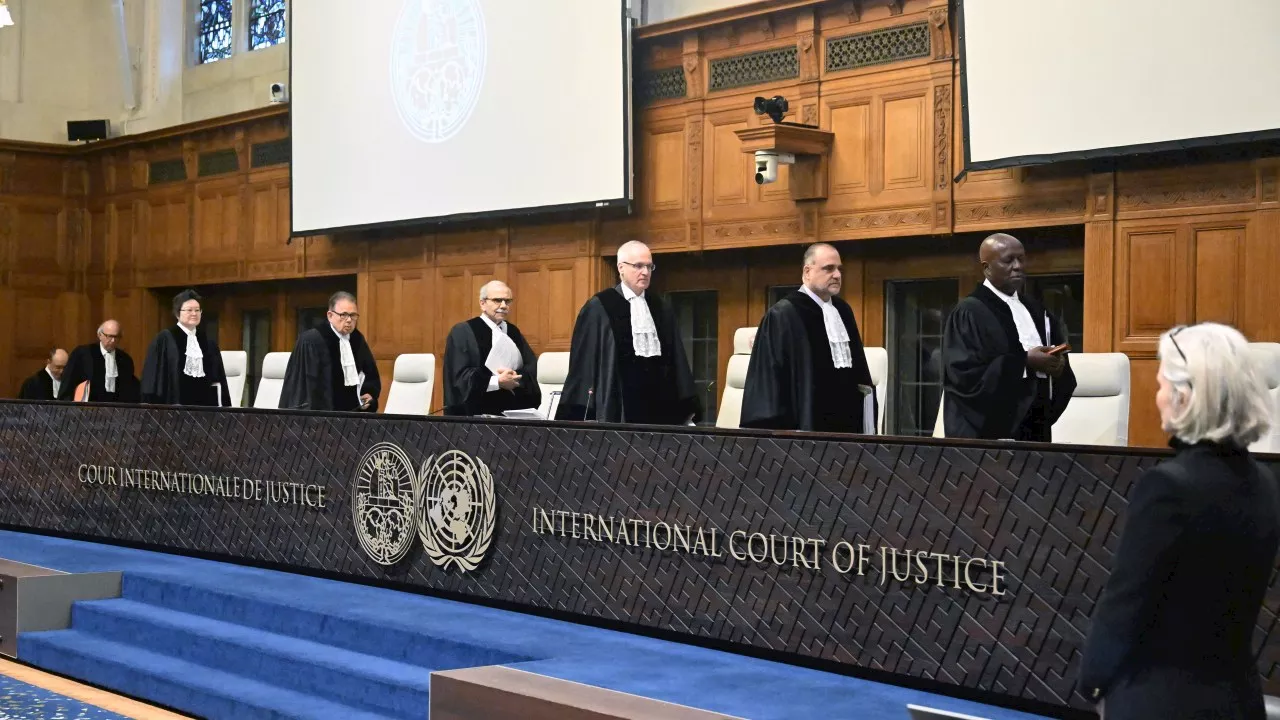 ‘Gratuitous criticisms of Israel’: Ex-MP slams ICJ’s military halt order