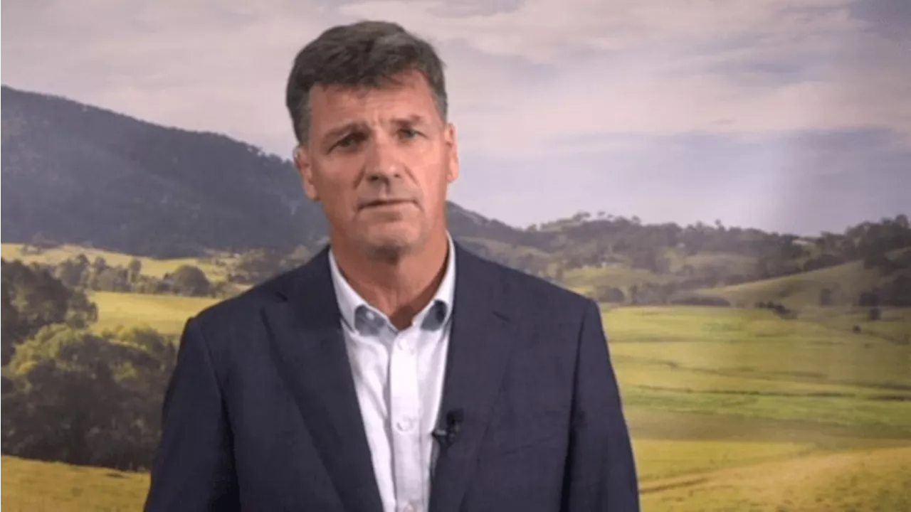 ‘Lost control’: Angus Taylor slams Albanese government on immigration