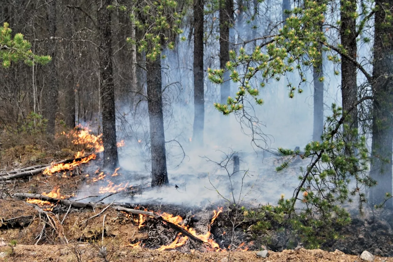 Fire hazard low across most of Northeast Region of Ontario