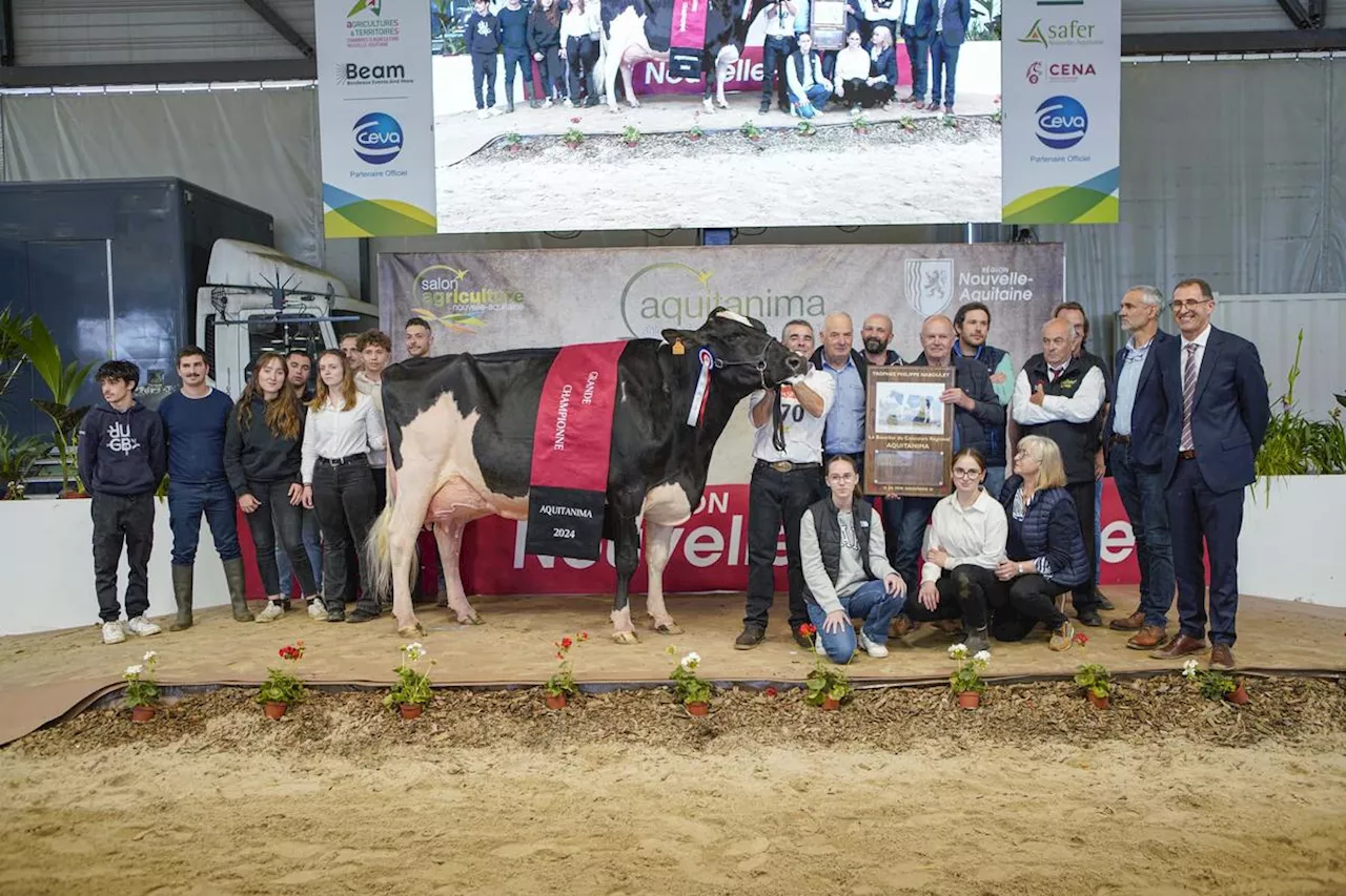 Agriculture : les éleveurs landais font un carton au salon Aquitanima