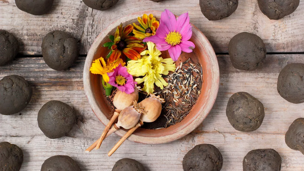 Four ways to have fun with kids making some homemade wildflower seed bombs this half-term...