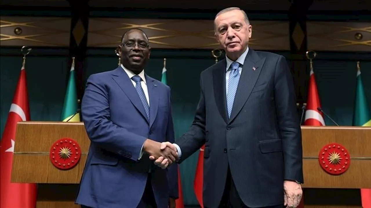 Turkish president, former Senegalese leader discuss bilateral relations