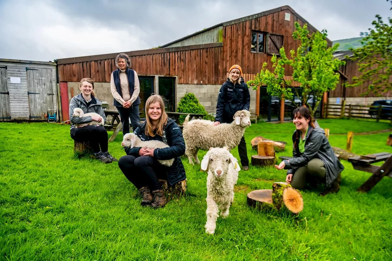 Open Farm Sunday: How you can get closer to countryside life in Yorkshire this summer