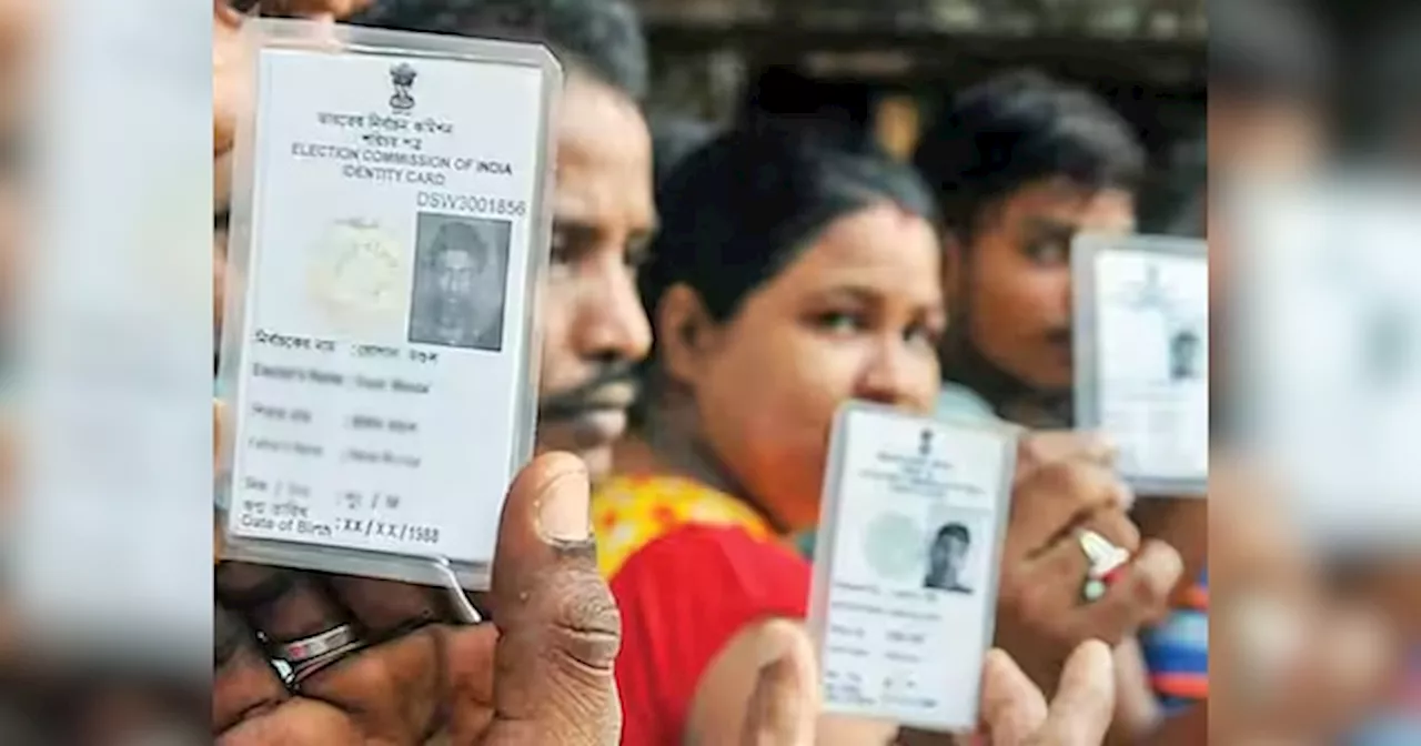 बिना Voter ID Card भी कर सकते हैं मतदान, फटाक से डाउनलोड करें ये App, फिर देखें कमाल