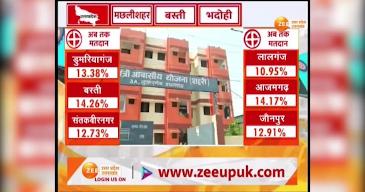 Allahabad Phulpur Lok Sabha Election 2024: प्रयागराज और फूलपुर में वोटिंग, माफिया मुक्त चुनाव पर देखिए क्या बोले लोग?