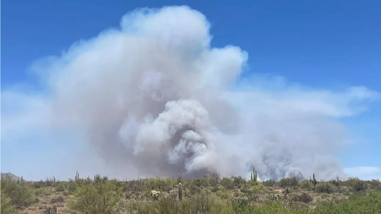 Wildcat Fire update: at least 14,402 acres burned; containment grows