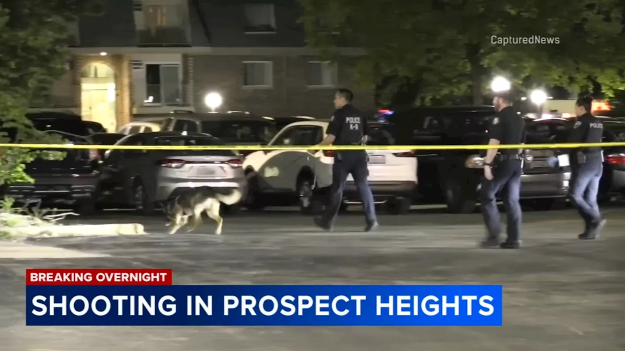 2 hurt in gang-related shooting near Holiday Inn Express, Prospect Heights police say