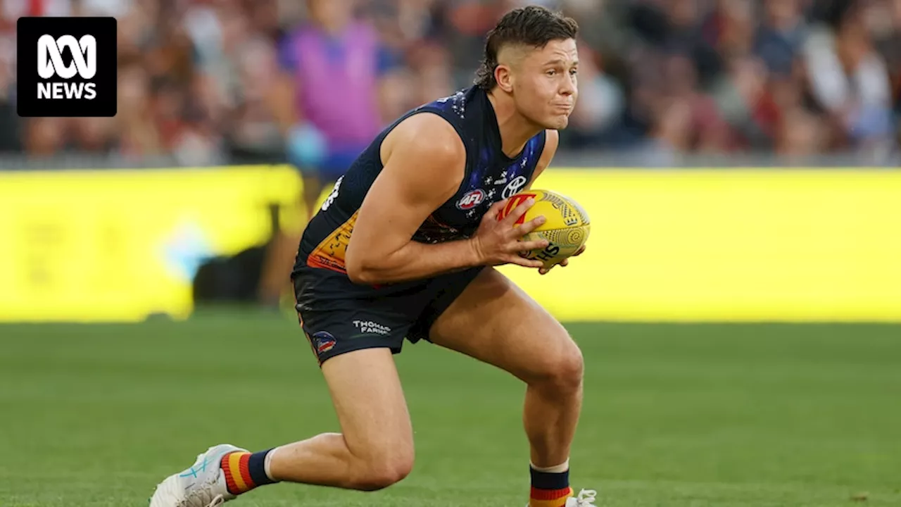 AFL Round 11: Adelaide vs West Coast, Melbourne vs St Kilda, Hawthorn vs Brisbane updates — blog, scores and stats