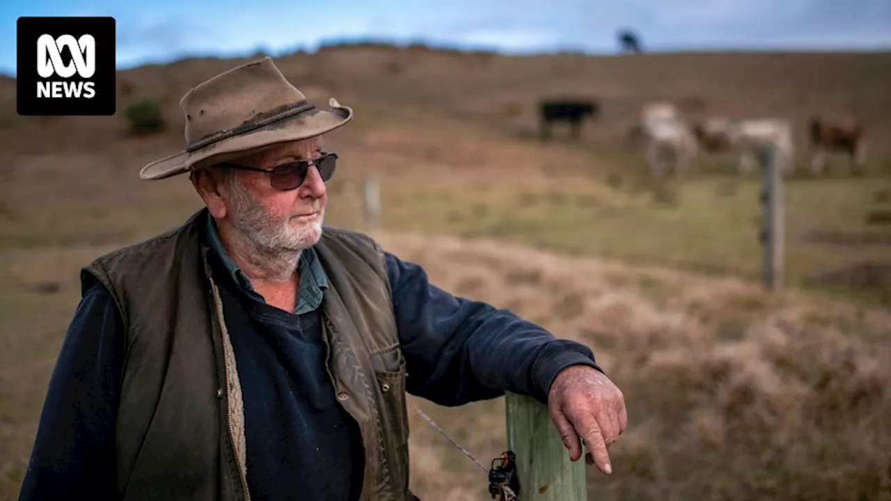 King Island is going through its worst drought on record, and farmers are having to make tough decisions