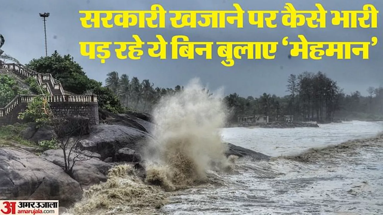 Cyclone Remal: सरकारी खजाने पर भारी पड़ रहे चक्रवाती तूफान; तितली, गाजा, बुलबुल और बिपरजॉय भी मचा चुके तबाही