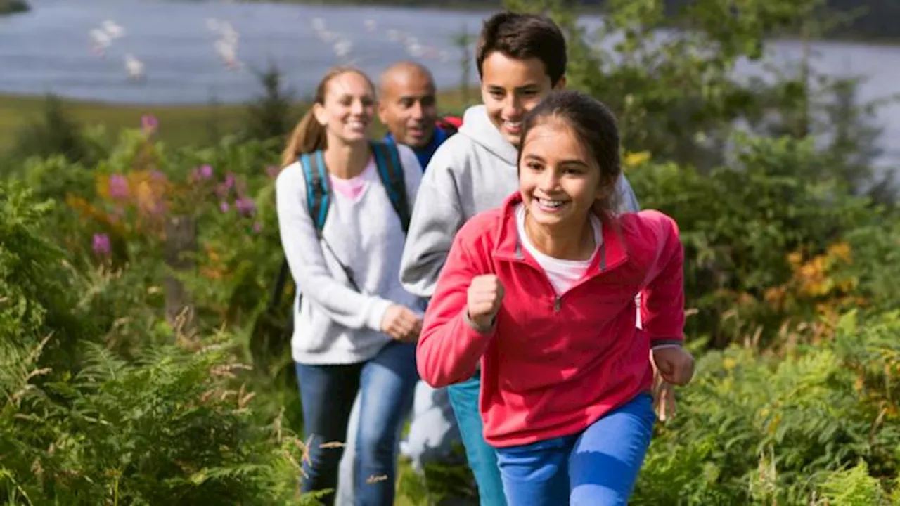 Springwatch on CBBC - Top 10 wild walks