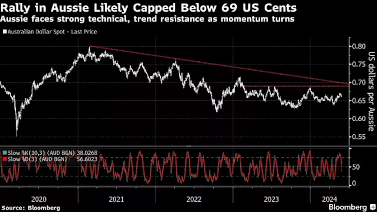 Aussie Bulls Face Disappointment on Long Road to Pandemic High