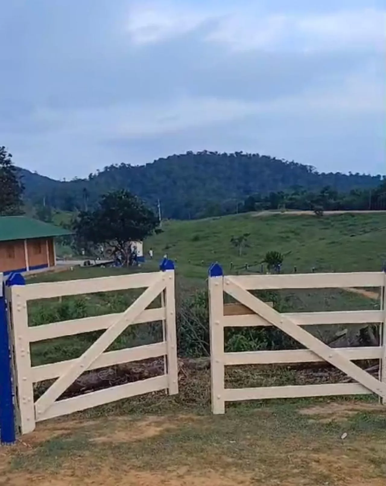 Clan del Golfo habría montado campamento para atender sus heridos en escuela de Remedios