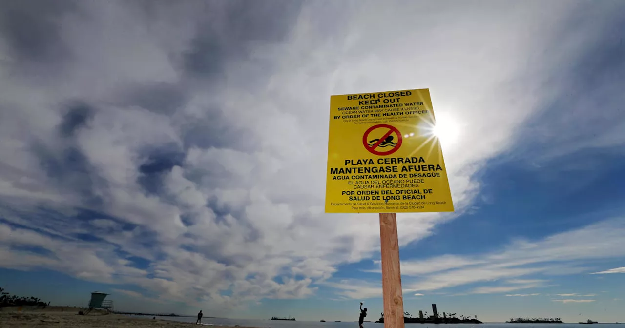 Water warning issued for five LA County beaches due to excessive bacteria levels