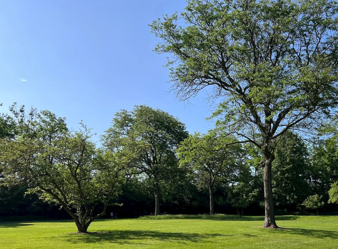 Cuyahoga Soil & Water Conservation District celebrates 25 years of cleaning up waterways