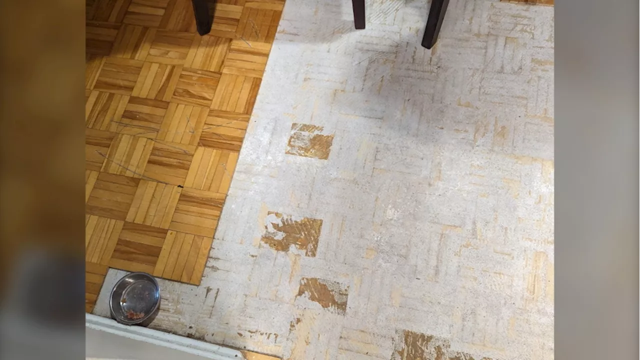 Kingston, Ont. tenants fed up with lack of action from landlord over broken floor tiles