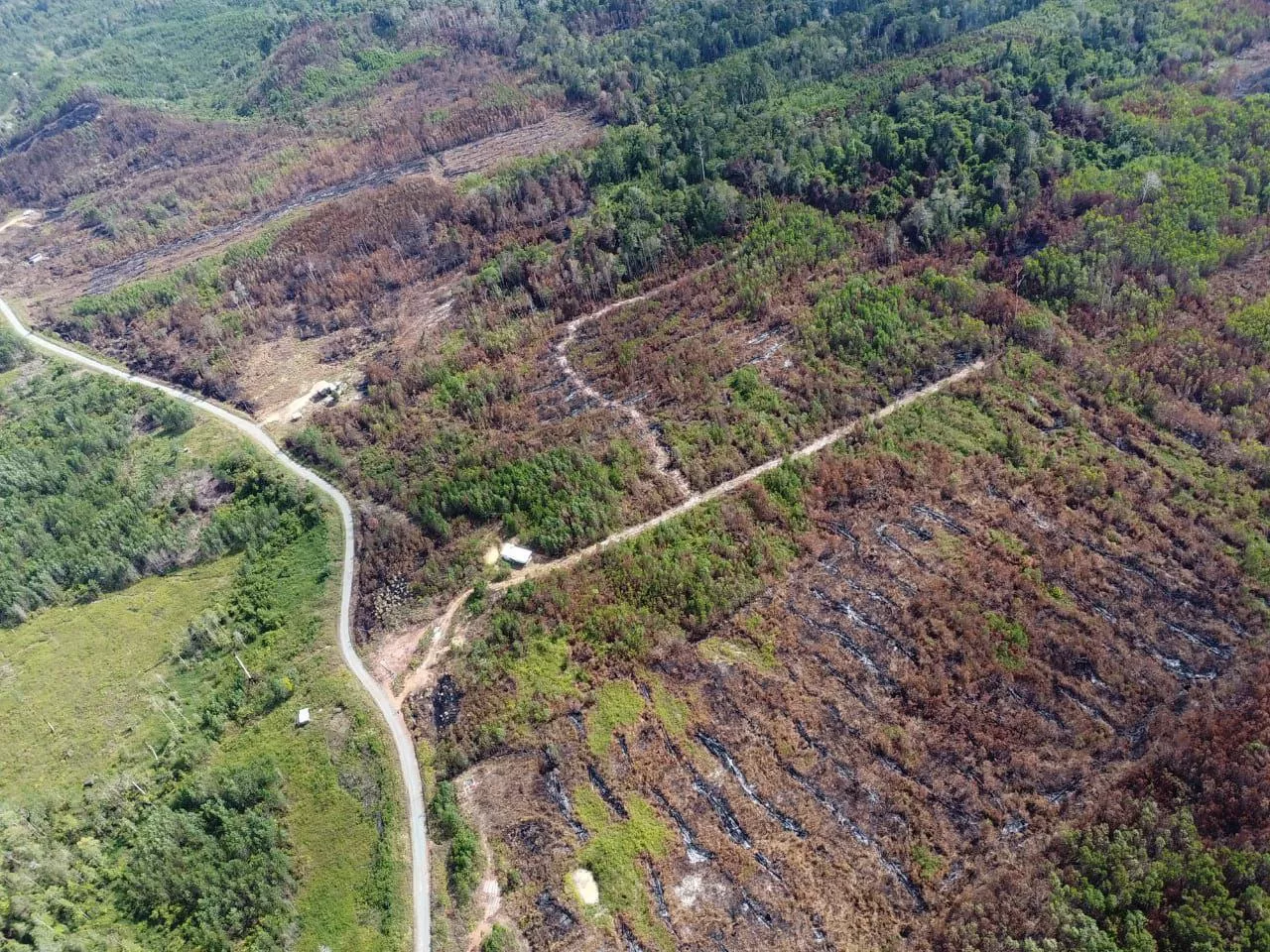 Hari ke-11 bomba lawan api hutan di Paitan